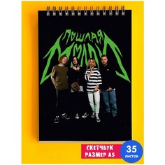 Скетчбук / Альбом для рисования / тетрадь / записная книжка / блокнот А5 группа Пошлая Молли 1st Color