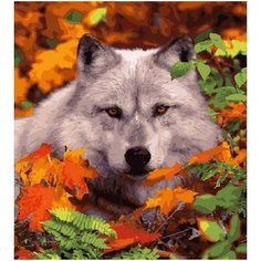 Картина по номерам Волк в осеннем лесу 40х50 см Hobby Home