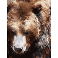 Картина по номерам Бурый медведь 40х50 см Hobby Home