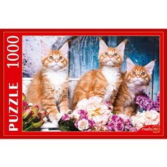 Пазл Рыжий Кот 1000 деталей: Рыжие котята Мейн-кун