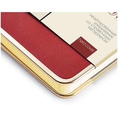 Ежедневник недатированный, А5 (130 х 212 мм), "CHELSEA" коричневый 272 стр, Арт : 3-517/03 Bruno Visconti