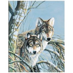 Алмазная мозаика на подрамнике HWA2290, 40x50 см Paintboy