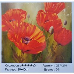 Алмазная мозаика 30*40 см на подрамнике. GB74210