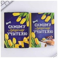 Ежедневник в подарочной коробке "Самому лучшему учителю", 80 листов (1 шт.) Pro Market