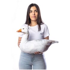 Интерьерная подушка "Гусь" НЕСТАНДАРТИКА