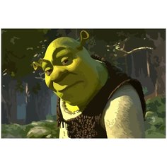 Картина по номерам на холсте шрек мем - 1500