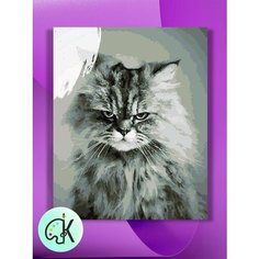 Картина по номерам на холсте Кот злой, 30 х 40 см КУЛЬТУРА ЦВЕТА