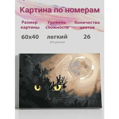 Картина по номерам на стену Черная кошка Раскрасим сами