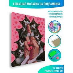 Алмазная мозаика на подрамнике - вышивка Love is pain 40 х 50 см Красиво Красим