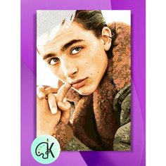 Картина по номерам на холсте Timothee Chalamet - Шаламе, 40 х 60 см КУЛЬТУРА ЦВЕТА