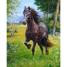 Алмазная мозаика круглыми стразами 40x50 - ZM-1844 Kolibriki