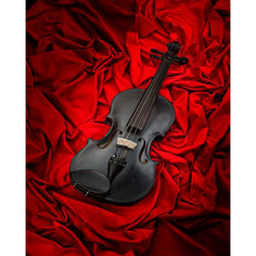 Картина по номерам Скрипка 40х50 см Hobby Home