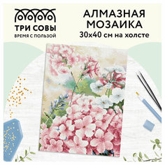 Алмазная мозаика Три совы "Флоксы", 30х40 см, холст
