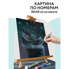Картина по номерам на холсте 30 х 40 см "Мистический кот", с акриловыми красками и кистями ТРИ СОВЫ