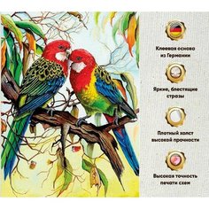 Алмазная мозаика 30х40, на подрамнике, полная выкладка квадратными стразами/ попугаи/ птицы Даймонд Канвас