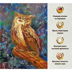 Алмазная мозаика 30х40, без подрамника, полная выкладка квадратными стразами, птицы, сова Даймонд Канвас