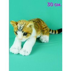 Мягкая игрушка Реалистичный Кот 30 см. АКИМБО КИТ
