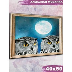 Алмазная мозаика на подрамнике Paintboy