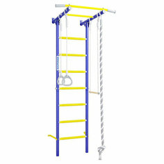 Детский спортивный комплекс S1, 86x86x220 см, цвет синяя слива Romana