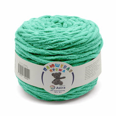Пряжа для вязания Astra Premium Плюшевая 100гр 80м (100% микрополиэстер) (402 ледяная мята), 2 мотка