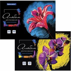 Альбом для рисования А4 40 л, склейка, обложка картон, подложка, BRAUBERG, 205х290 мм, "Blossom", 106330 Chester