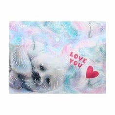 Папка-конверт на кнопке А5, 240 х 170 мм, 180 мкм, горизонтальная, deVENTE Seal, 12 штук