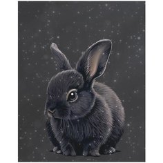 Картина по номерам Черный пушистик 40х50 см 000 Art Hobby Home
