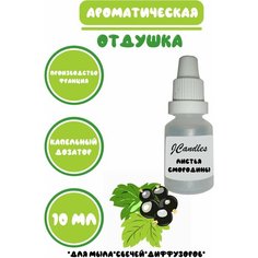 Отдушка для свечей листья смородины/ Отдушка для мыла/Ароматизатор Нет бренда