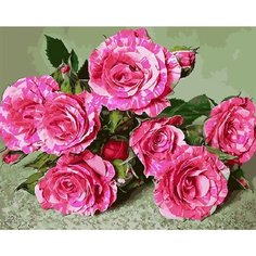 Картина по номерам Розы Абра Кадабра 40х50 см Hobby Home