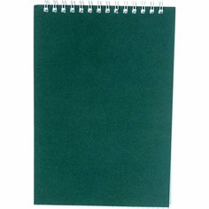 Блокнот Альт Офис 1 A5 60 листов зеленый в клетку на спирали, 127х203 мм