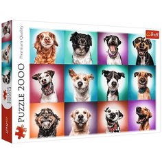 Пазл Trefl 2000 деталей: Забавные портреты собак