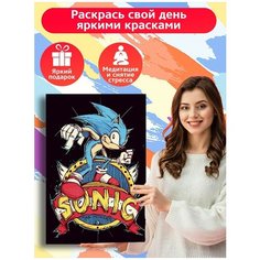 Картина по номерам Игра Sonic (соник, ёж) - 8057 В 60x40