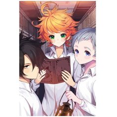 Картина по номерам Обещанный Неверленд аниме - 3 40X60