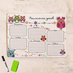 Магнитно маркерная доска Школьное Расписание с совами, на стену, металл, 30х40 см. Декоративная жесть