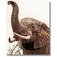Картина по номерам " Слон Elephant " холст на подрамнике 40х60