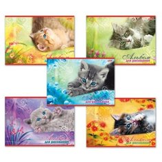Альбом для рисования Hatber "Котята" 20л А4