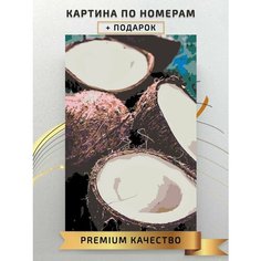 Картина по номерам Кокосы / Tcoconuts холст на подрамнике 40*60