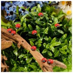 Декор флористический «Божьи коровки», 40 шт, 11 х 8 мм Noname