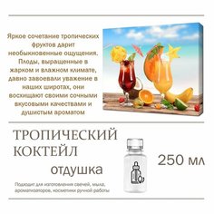 Тропический коктейл, отдушка для свечей и мыла (250 мл) Candle M
