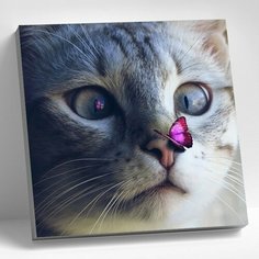Алмазная мозаика Кот с бабочкой 30x30 см. Molly