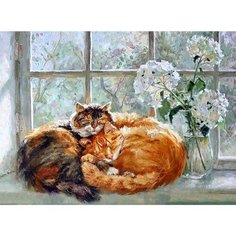 Картина по номерам Два кота 40х50 см Hobby Home