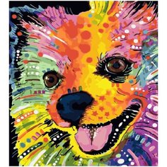Картина по номерам Радужный шпиц 40х50 см Hobby Home