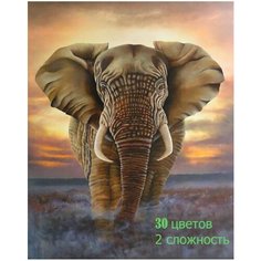 Картина по номерам Могучий слон 40х50 см 000 Art Hobby Home