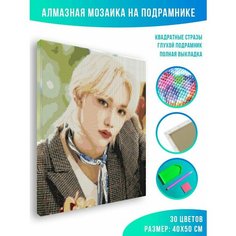 Алмазная мозаика на подрамнике - вышивка Stray kids - Felix 40 х 50 см Красиво Красим