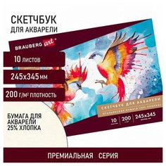 Альбом для акварели бумага италия 200 г/м2 25% хлопок 245х345 мм 10 л. BRAUBERG ART PREMIERE, 2 шт