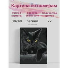 Картина по номерам на стену Кошка Раскрасим сами
