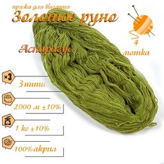Нитки для ручного вязания (4 шт. 1кг/2000 м), пряжа трёхниточная в пасмах (250-300 гр/шт.) 100% акрил (Аспарагус) Золотое руно