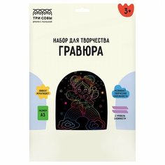 Гравюра с мультицветной основой Три Совы "Волшебница", А5 (GA5_49952)