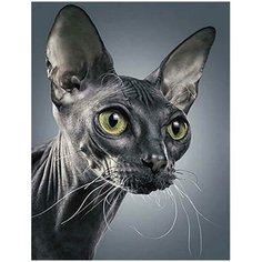 Алмазная мозаика на подрамнике 50х65 Мистический сфинкс Премиум-набор Цветной