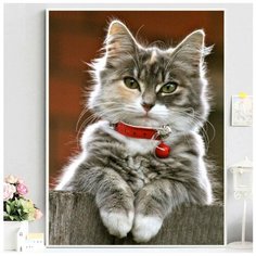 Алмазная мозаика без подрамника 30x40 см / круглые стразы / Серый кот Noname